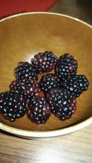 Blackberry