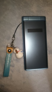 Phone Charm