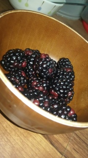 Blackberry