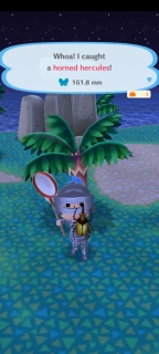 Animal Crossing Bug