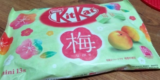 KitKat ~ (ume)