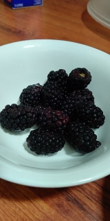 Blackberries