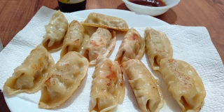 Chicken Vegetable Dumpling