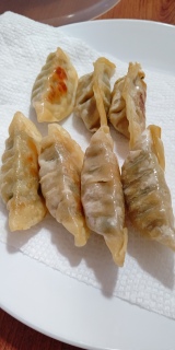 Cooked Gyoza