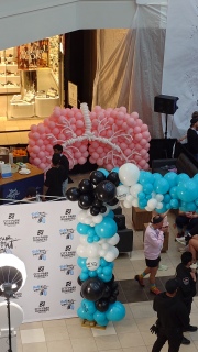 Lungs Balloon