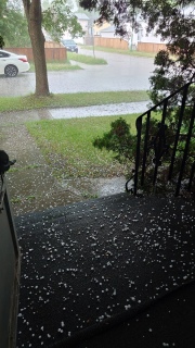 Oh HAIL HOLY!