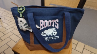New Work Bag